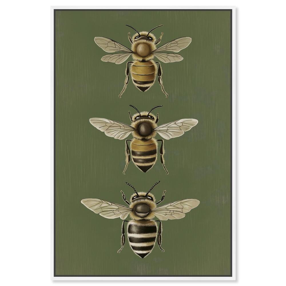 Anatomy of the Bee Canvas by Art Remedy