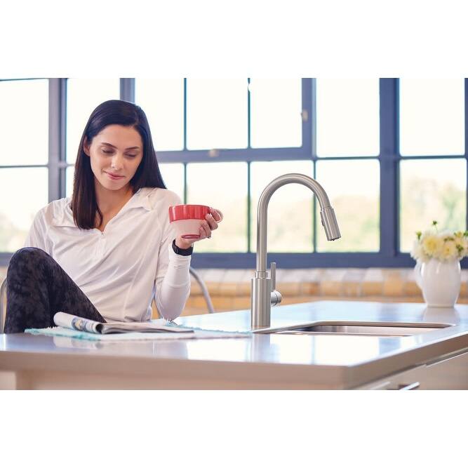 Moen Genta LX Pull-Down Spray Kitchen Faucet with PowerClean