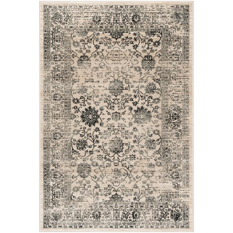 SAFAVIEH Evoke Quintina Distressed Vintage Boho Rug