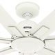 preview thumbnail 16 of 26, Hunter 60" Downtown Windmill Outdoor Ceiling Fan w/ Wall Control, Damp-Rated - Indoor-Outdoor, Industrial, Modern - ENERGY STAR!