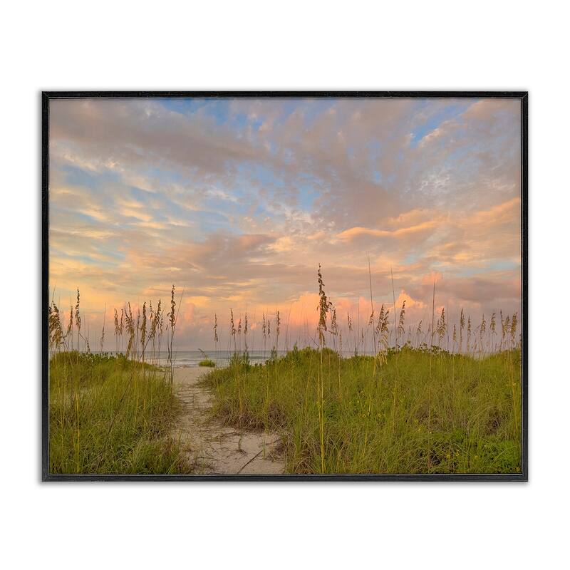Stupell Serene Coastal Path Grasses Framed Giclee Art Design By Mary Lou Johnson - 30 x 24 - Black