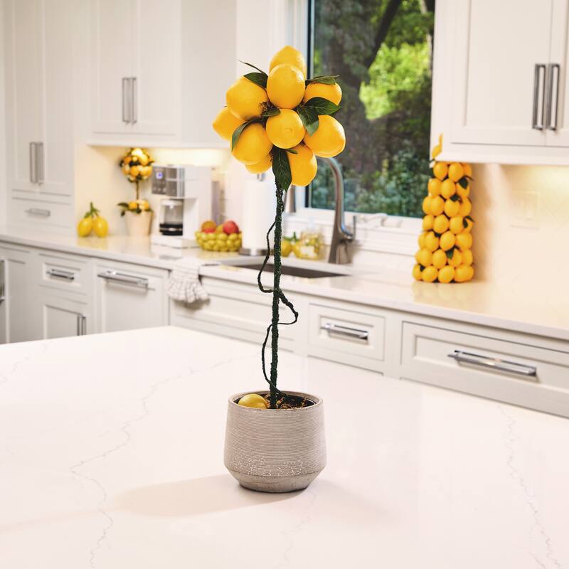 24" Lemon Potted Topiary