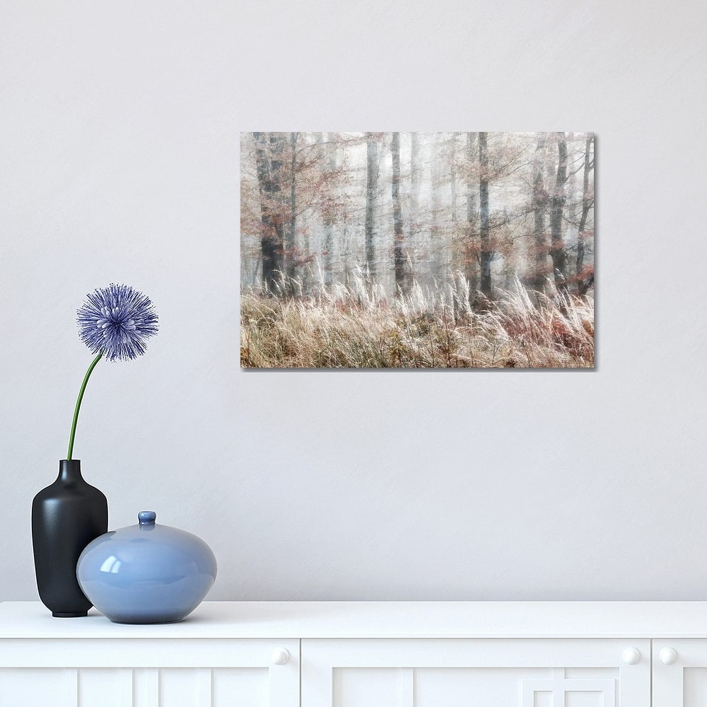 iCanvas "Always Magic In The Woods" by Irene Weisz Canvas Print