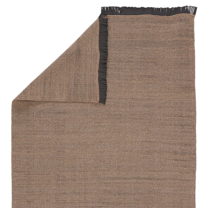 Taine Indoor/ Outdoor Solid Area Rug