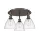 Option Oil Rubbed Bronze / Seedy
