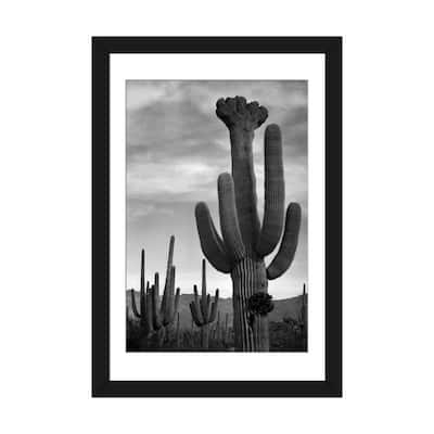 iCanvas "Saguaros, Saguaro National Monument" by Ansel Adams