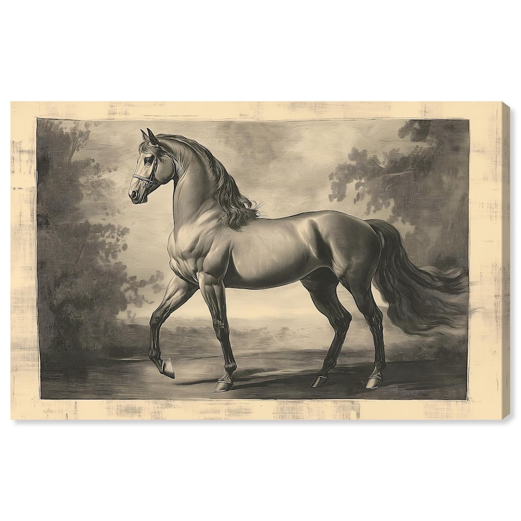 Sketch of a Stallion Canvas by Art Remedy, Gallery Wrapped