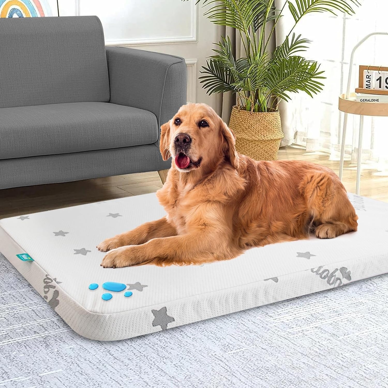 Large pet beds on sale best sale