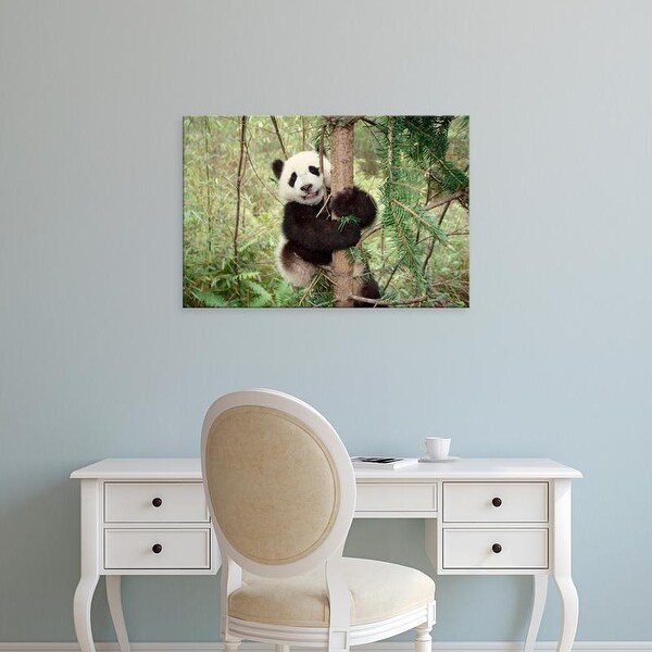 Easy Art Prints Keren Su's 'Panda Cub Playing On Tree' Premium Canvas Art