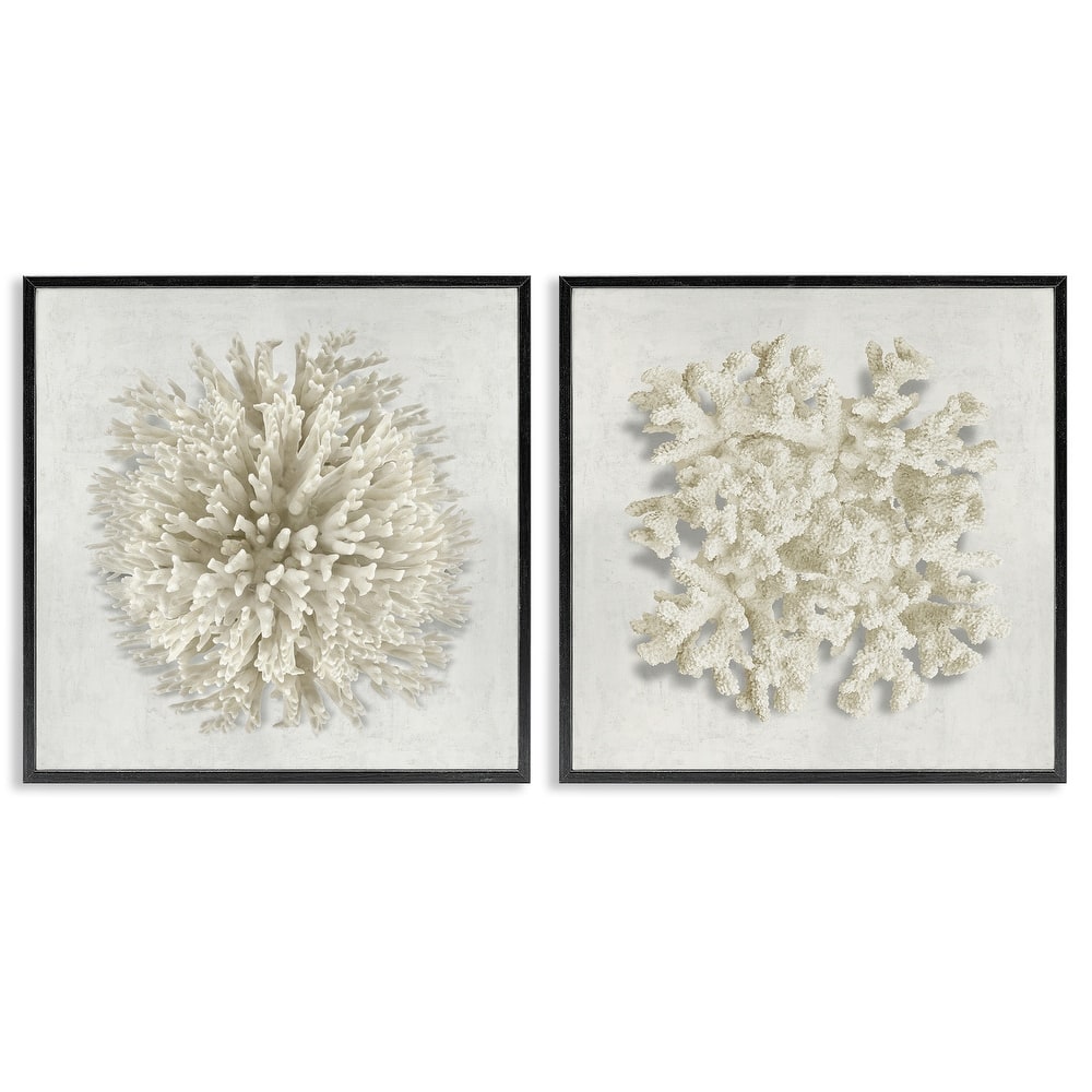 Stupell Distinct Natural Coral Framed Giclee Art Design By Caroline Kelly (Set of 2)