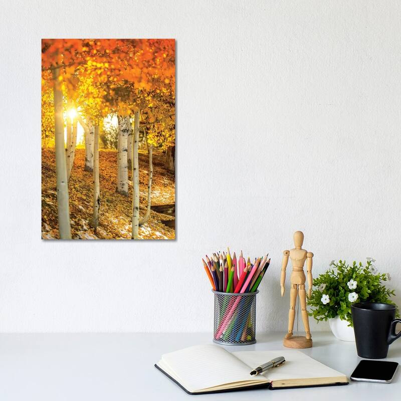 iCanvas "Sunburst Through The Aspens" by Jonathan Ross Photography Canvas Print - 12x8x0.75