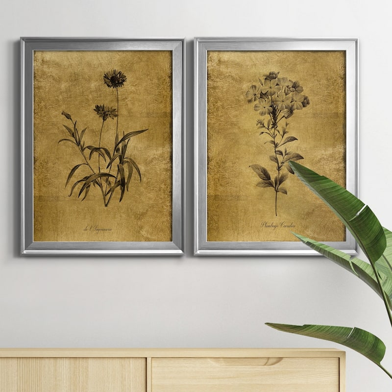 Gold Sketch Botanical I Premium Framed Print - Ready to Hang - Multi-Color