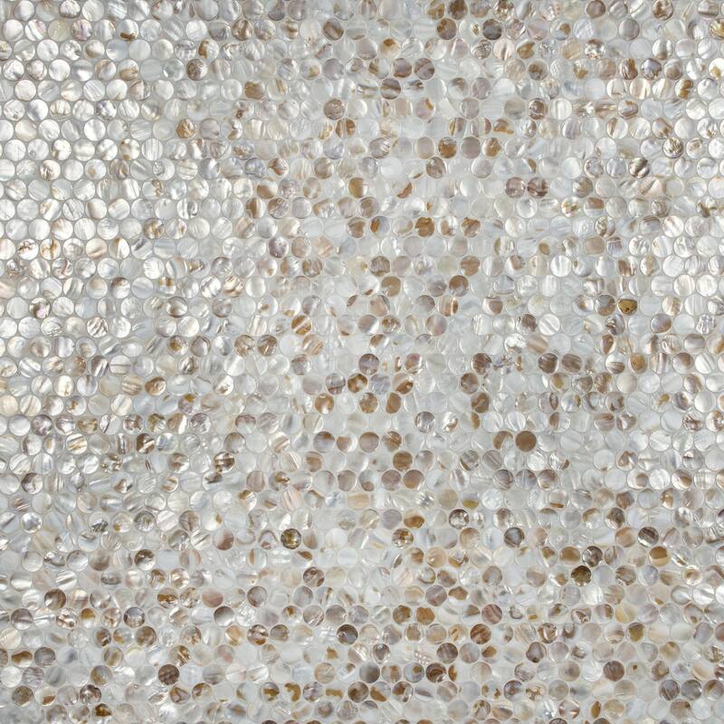 Merola Tile Conchella Penny Natural 11-1/4" x 11-5/8" Natural Shell Wall Tile