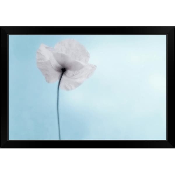 "A poppy seen from the stem with desaturated tones, against cool blue background." Black Framed Print