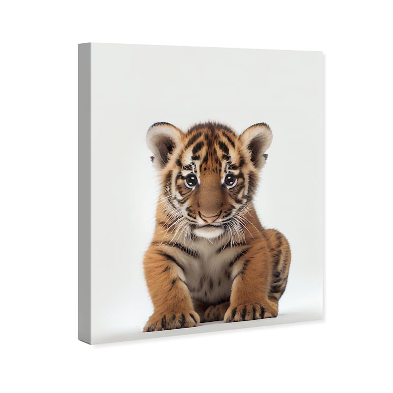 Wynwood Studio Canvas Animals Baby Animal Tiger Gold and Modern & Contemporary Wall Art Canvas Print - Gold, White