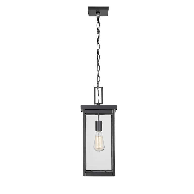 Millennium Lighting Barkeley 1 Light Outdoor Hanging Lantern in Powder Coated Black with ClearGlass Shades