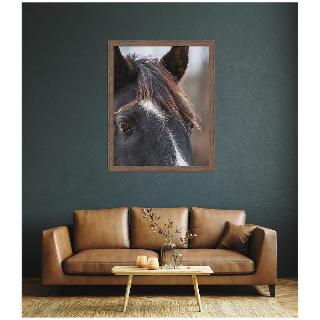 Kate and Laurel Black and White Horse by Emiko and Mark Franzen F2 Images Framed Wall Art Print