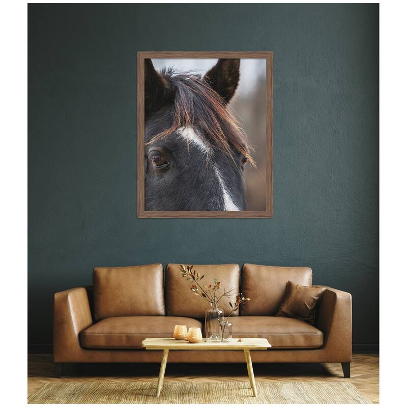 Kate and Laurel Black and White Horse by Emiko and Mark Franzen F2 Images Framed Wall Art Print