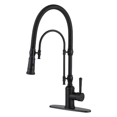 WOWOW Single Handle Gooseneck Pull Down Sprayer Kitchen Faucet