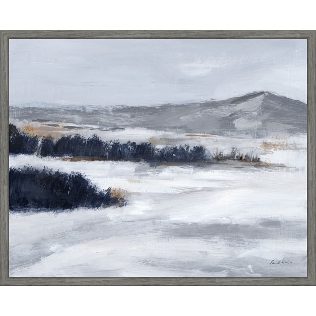 Cold Beauty by Pamela Munger (28 x 23 in.), Framed Canvas Wall Art Print - Sylvie Greywash