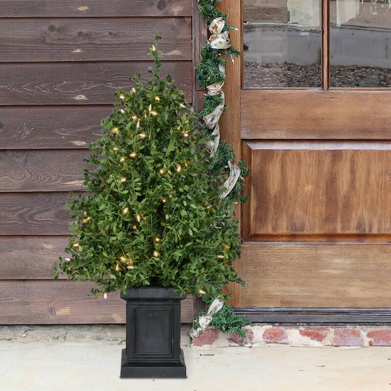 Fraser Hill Farm 4-Ft. Boxwood Porch Tree in Black Pot with Warm White Lights, Set of 2