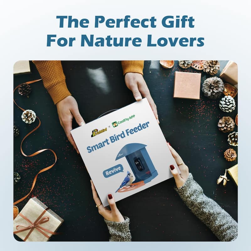 Smart Solar Bird Feeder with Camera and Interactive App