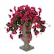 Option Violet/ Fuchsia