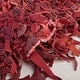 preview thumbnail 120 of 177, SAFAVIEH Handmade Leather Shag Carlijn Modern Decorative Rug