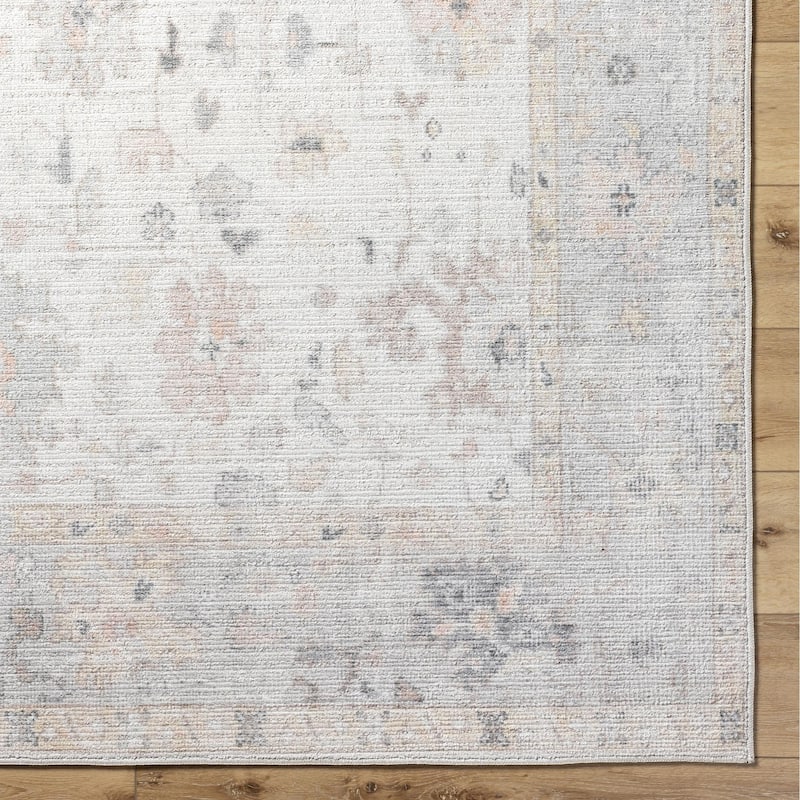 Haily Traditional Oriental Area Rug
