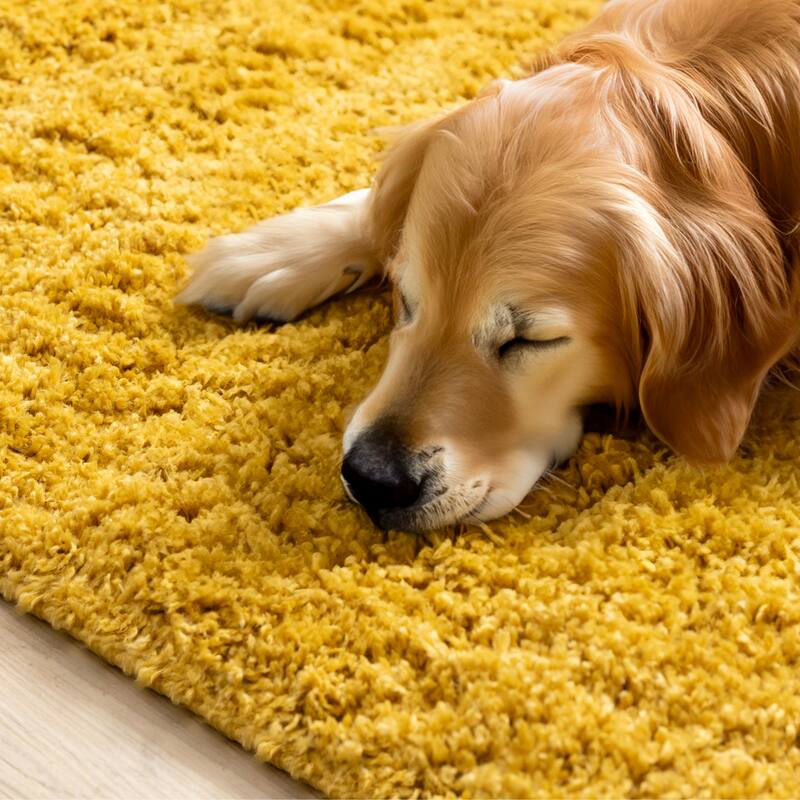 Taylor Collection - Plush Yellow Shag Area Rug