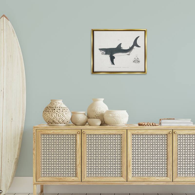 Stupell Detailed Shark Diagram Framed Floater Canvas Wall Art Design By Phillipa Katz