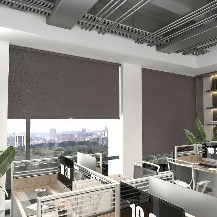 8' x 8' Outdoor Roller Shades - 8'W x 8'L