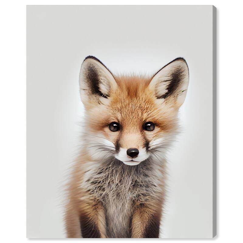 Wynwood Studio Canvas Animals Baby Animal Fox Brown and Modern & Contemporary Wall Art Canvas Print - Brown, White
