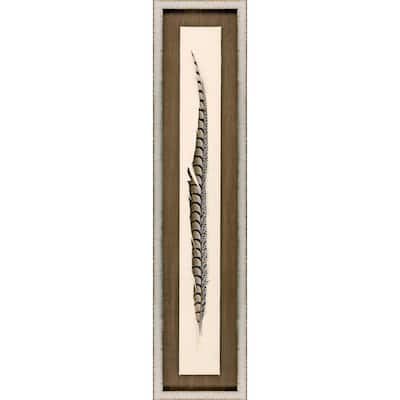 Lady Amhurst Feather Framed Art Mixed Media Shadow Box Under Glass - Brown