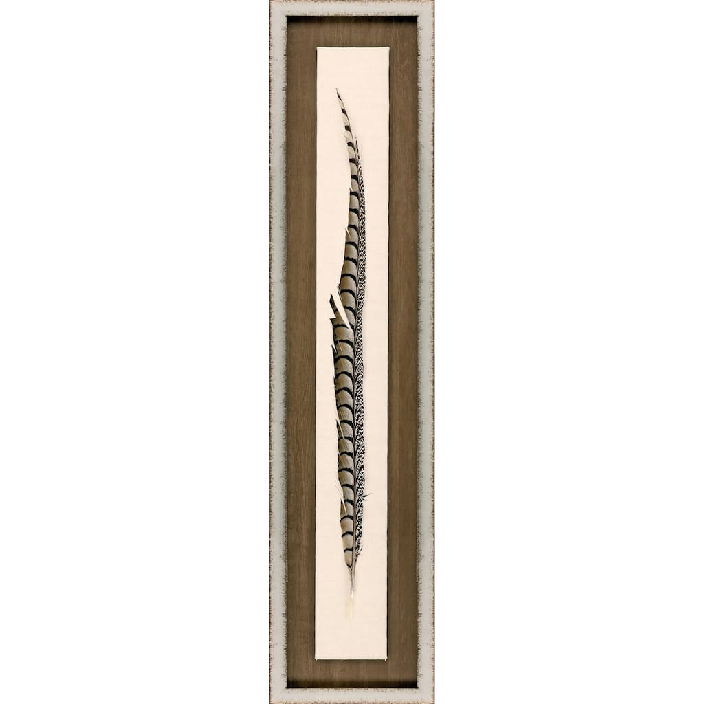 Lady Amhurst Feather Framed Art Mixed Media Shadow Box Under Glass - Brown