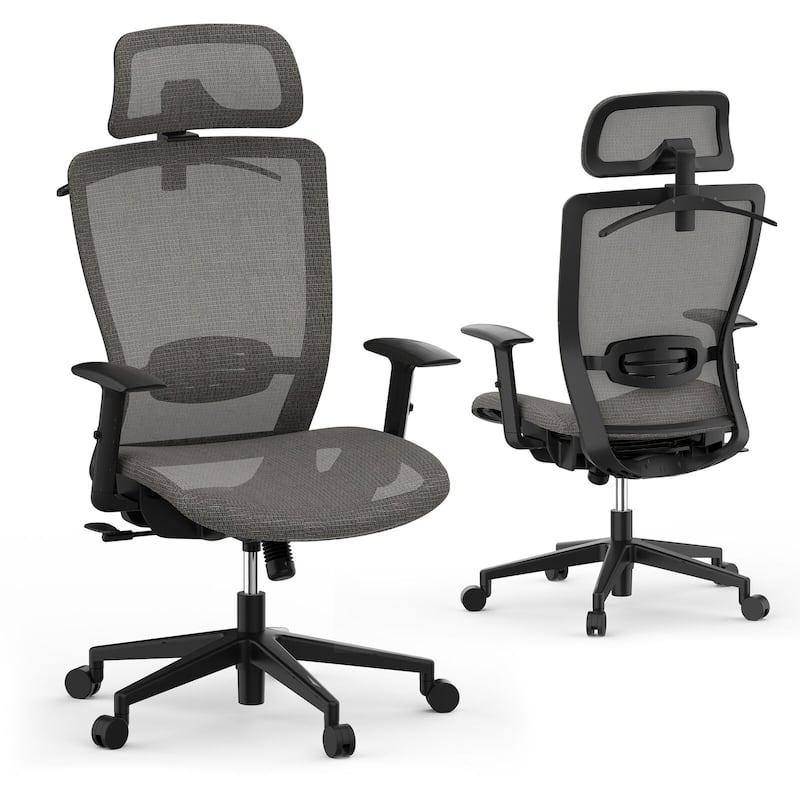 FlexiSpot Ergonomic Office Desk Chair 360° Swivel Height Adjustable Mesh Chair Adjustable Headrest, Lumbar Support, Armrest - Grey