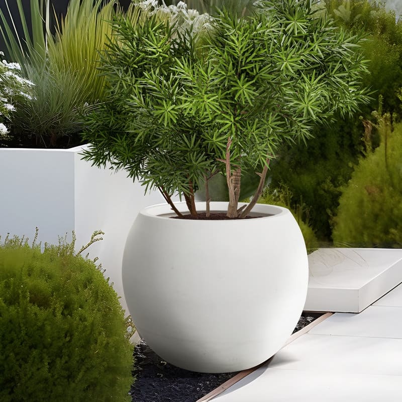 Modern Style Outdoor Planters for Porch, Round Planter with Drainage Hole, MgO Flower Pots,White/Black - N/A