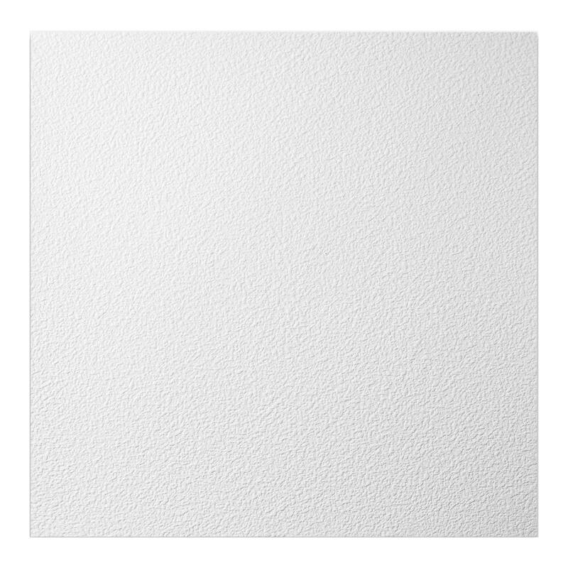 Genesis Stucco Pro White 2 x 2 ft. Lay-in Ceiling Tiles