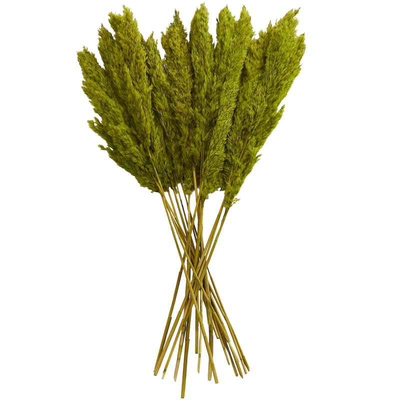 Dried Plant Pampas Grass Home Decor Natural Foliage with Long Stems - Brown or Green - Roche River Decor - Green - 35"H