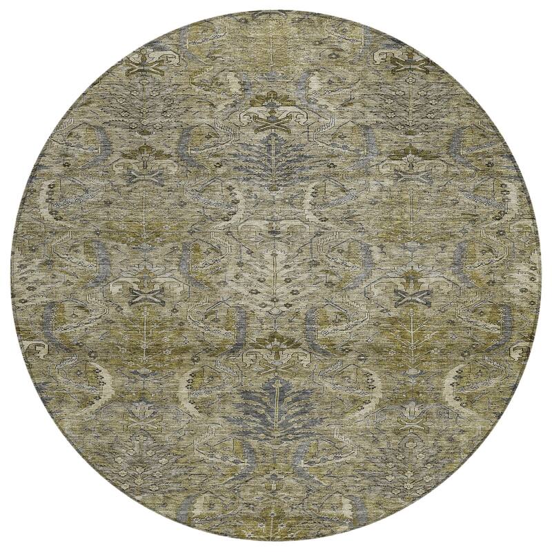 Machine Washable Indoor/ Outdoor Boho Traditional Chantille Rug