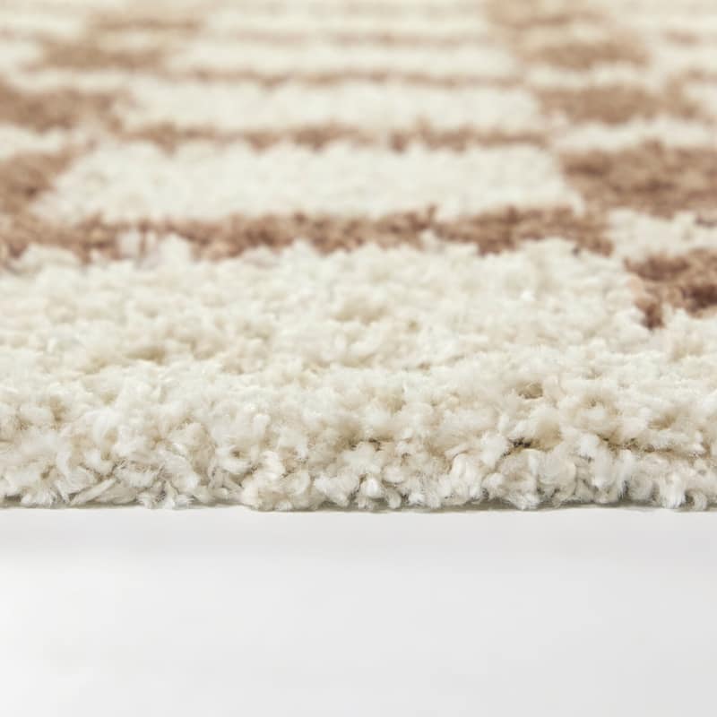 Stewart Trellis Shag Area Rug