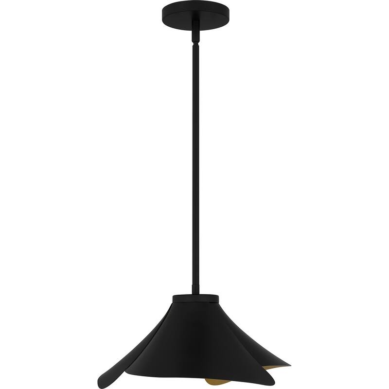 Matte Black One Light Pendant from the Quoizel Pendant Collection
