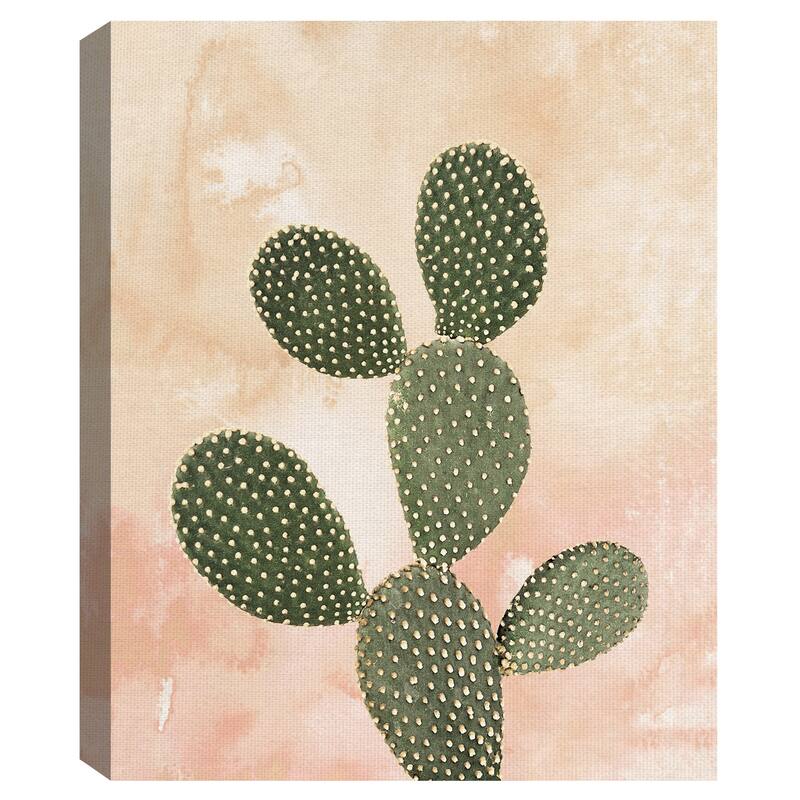 Desert Wash Coral I by Belle Maison Canvas Art Print
