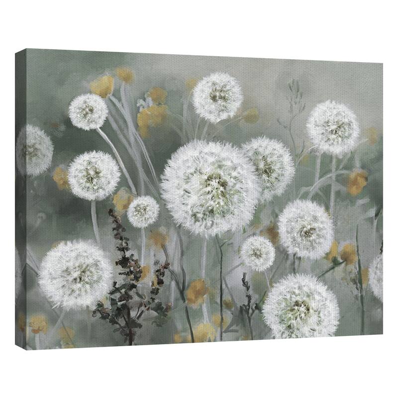 Wild Wishes by Studio Arts Canvas Art Print