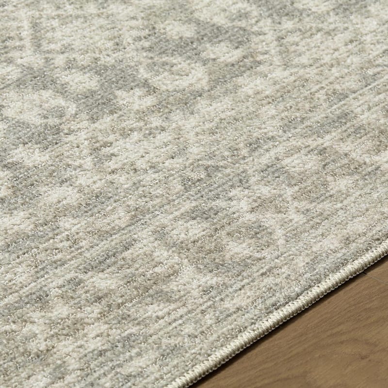 Nabela Noor Home x Livabliss Aram Traditional Area Rug