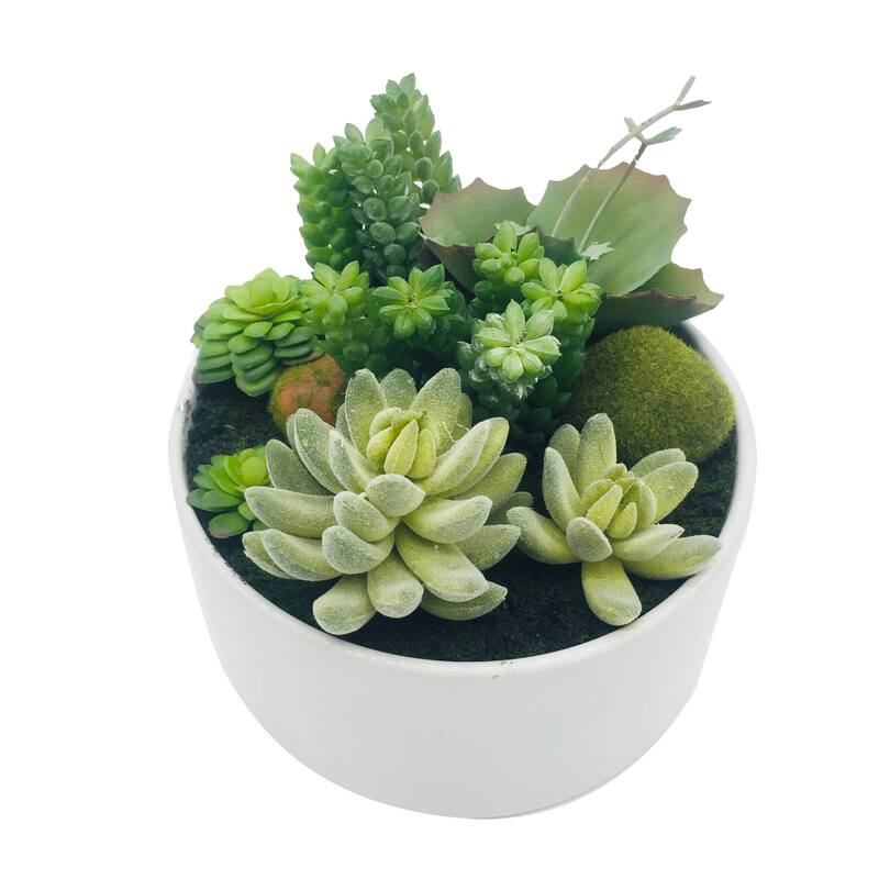 HomeRoots 7" Green Artificial Succulent In A Round White Porcelain Planter - 6.70 in. x 6.30 in. x 6.70 in.