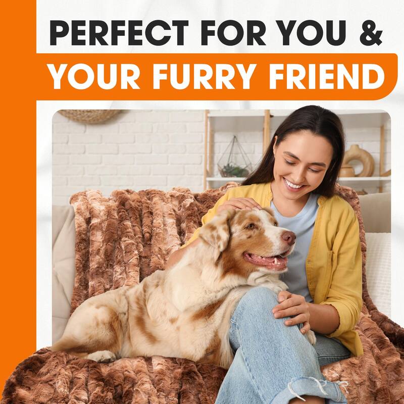 Cheer Collection Ultra Soft and Cozy Multi Colored Throw Blanket