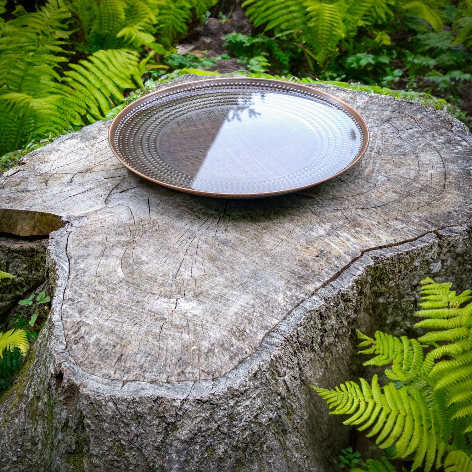 20" Tranquil Harmony Bird Bath Basin