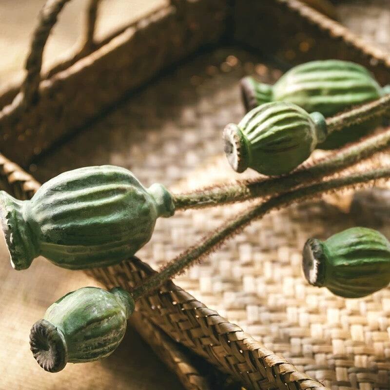 RusticReach Green Poppy Fruit Stem 30.7" Tall 3-Stem Bundle