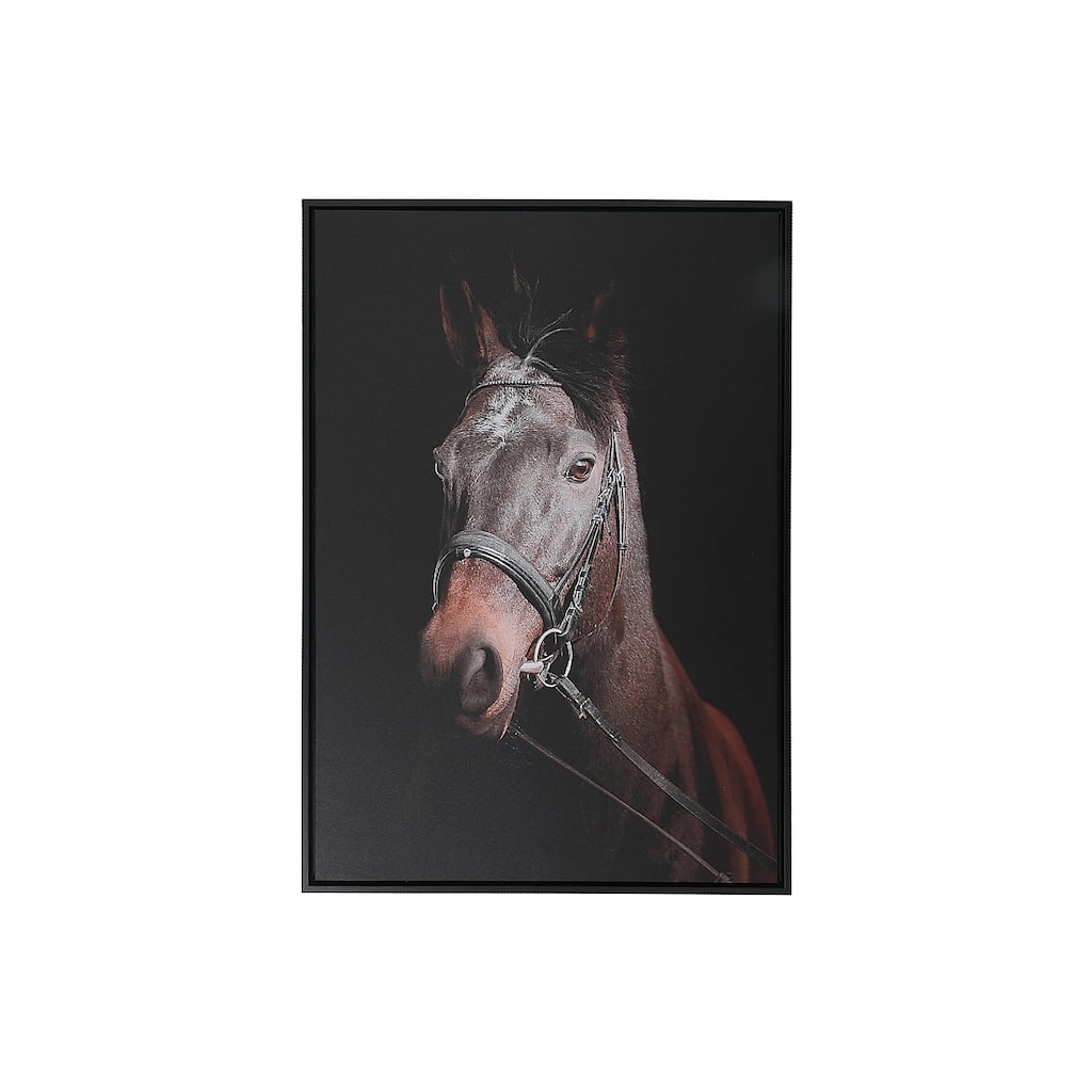 Framed Canvas Wall Art Horse